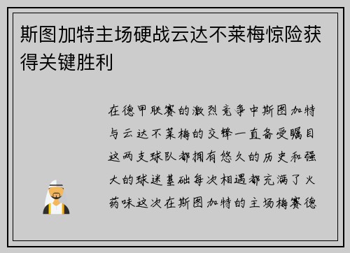 斯图加特主场硬战云达不莱梅惊险获得关键胜利